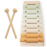 Xylophone for Kids, Percussion Instrument for Toddler Learning