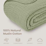 Adult Muslin Blanket in Sage